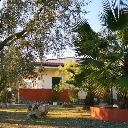 B&B Uliveto del Gargano Vieste Esterno foto