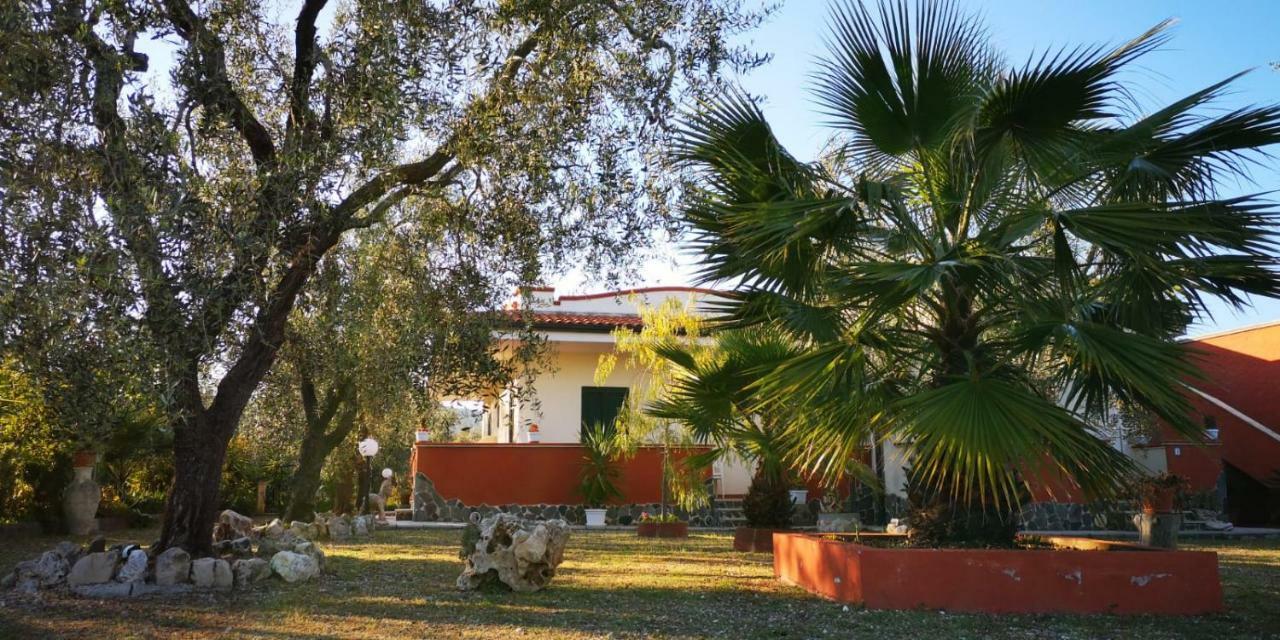 B&B Uliveto del Gargano Vieste Esterno foto