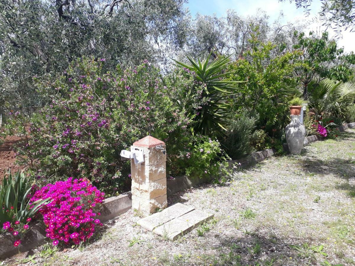 B&B Uliveto del Gargano Vieste Esterno foto